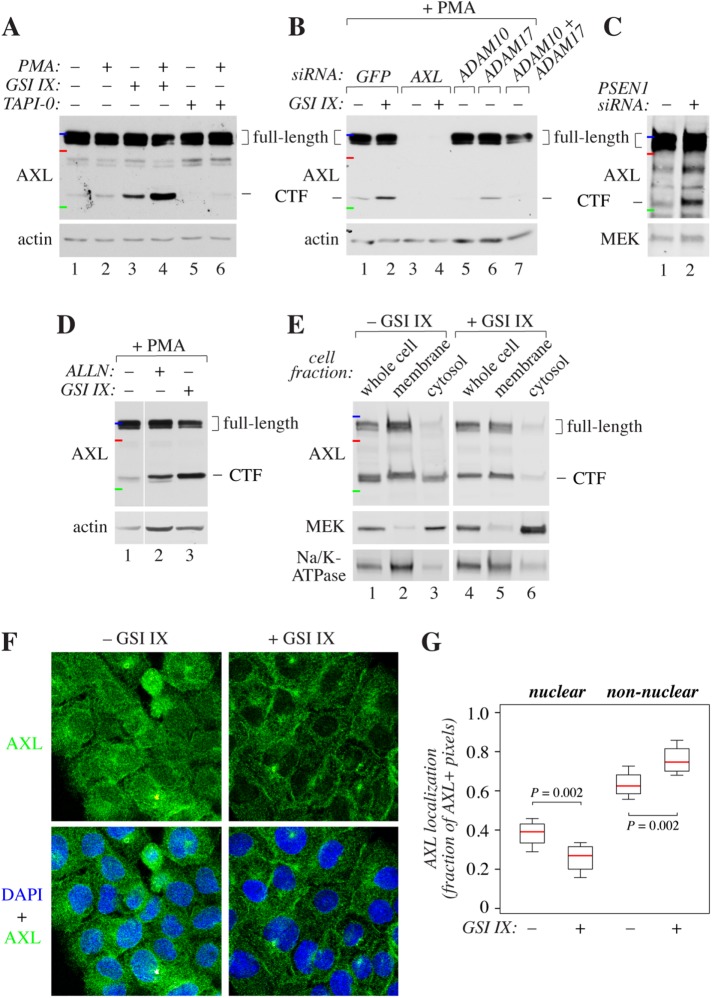 FIGURE 3: