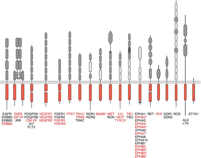 FIGURE 2: