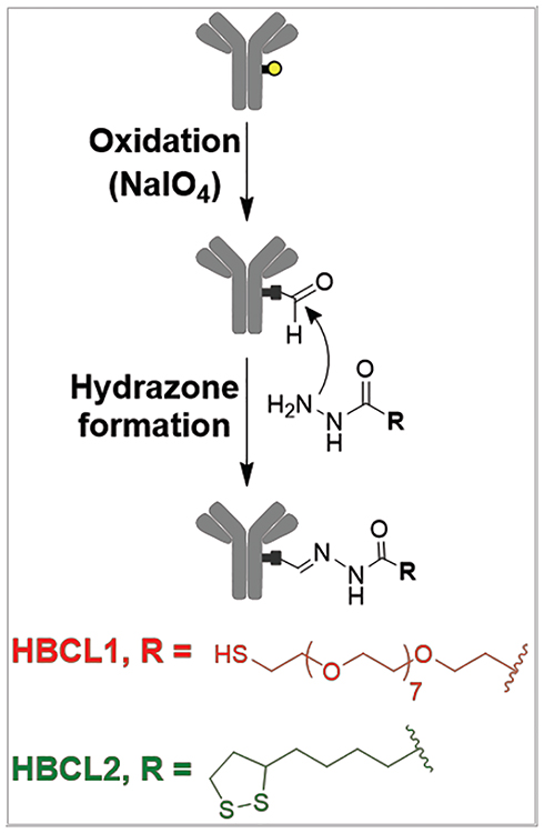 Scheme 1.