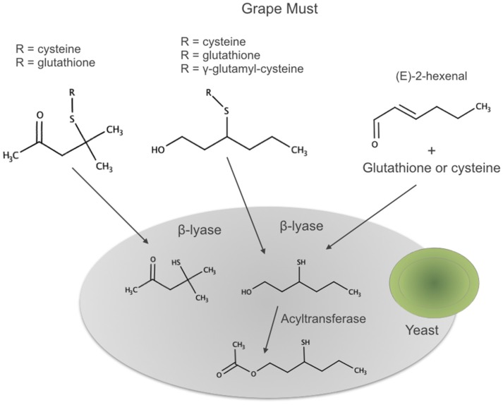 Figure 7