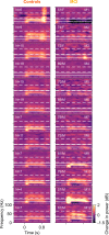 Figure 2—figure supplement 1.