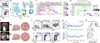 Fig. 2 |