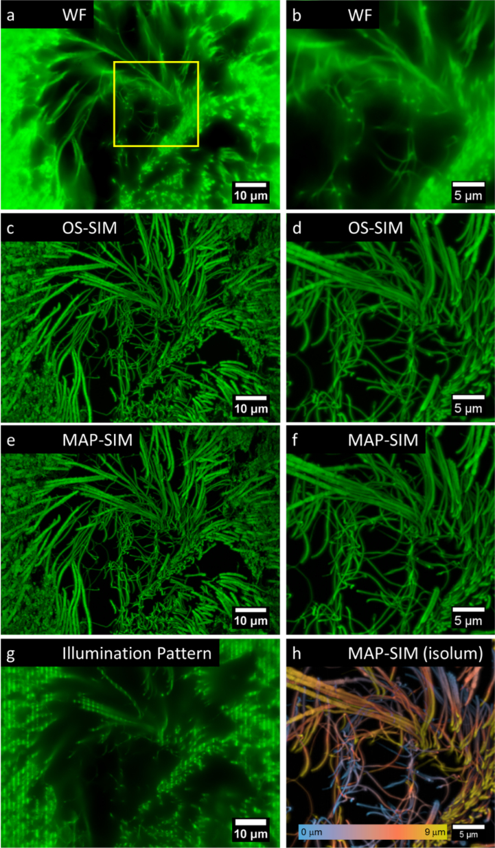 Figure 6: