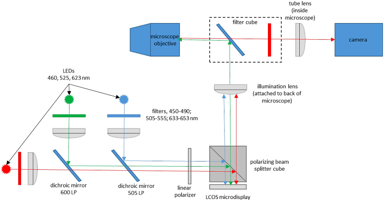 Figure 1: