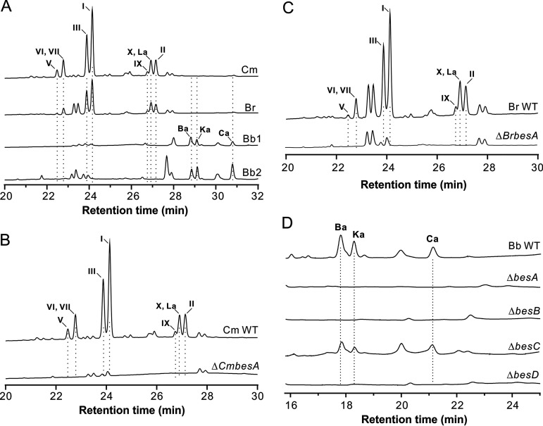 FIG 3