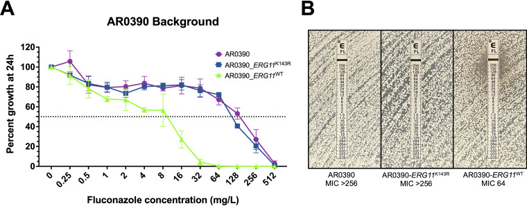 FIG 3