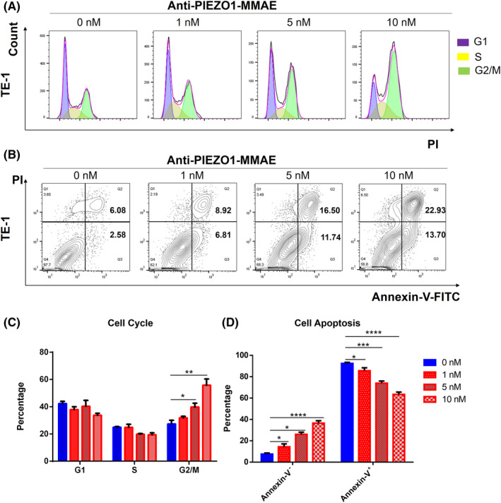 FIGURE 4