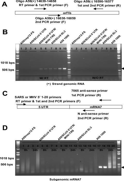 FIG. 7.