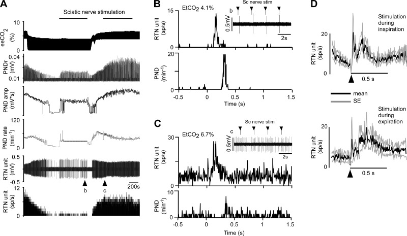 Fig. 9.