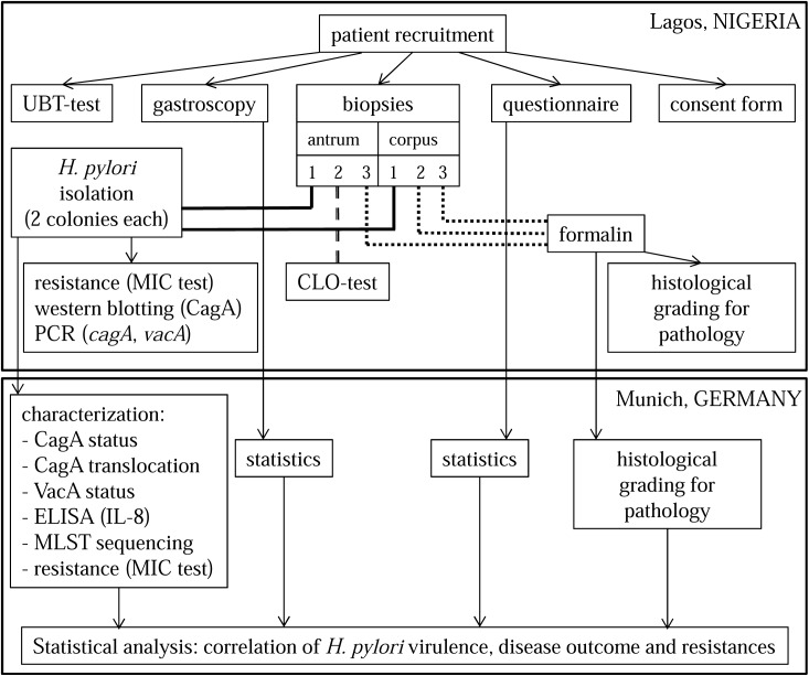 Fig 1