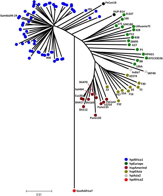 Fig 4