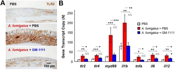 Fig 6