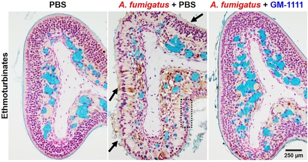 Fig 5