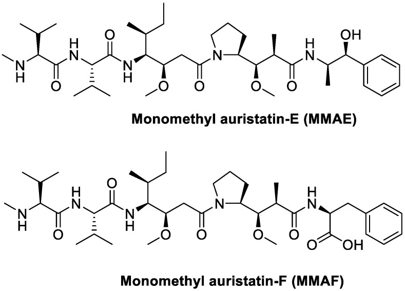 Figure 24