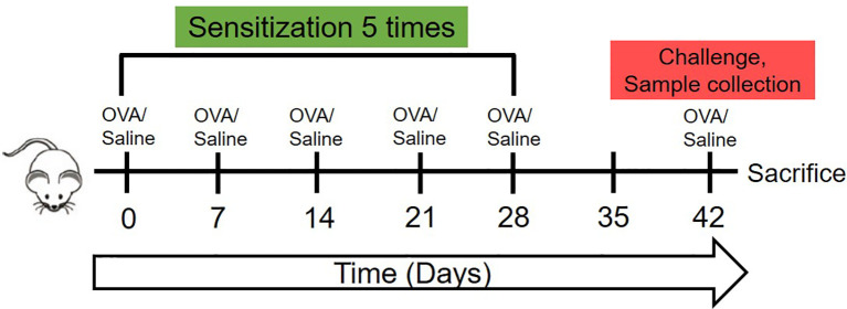 Figure 1