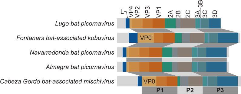 Fig. 2