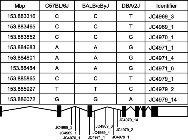 Figure 10.