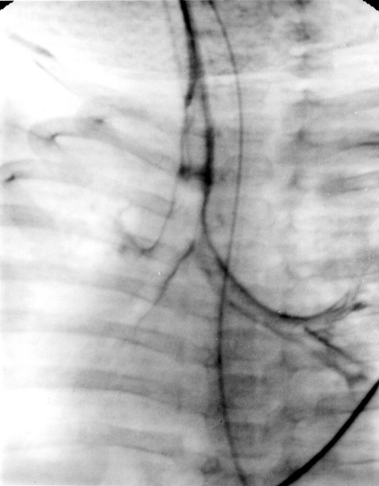 Figure 1  