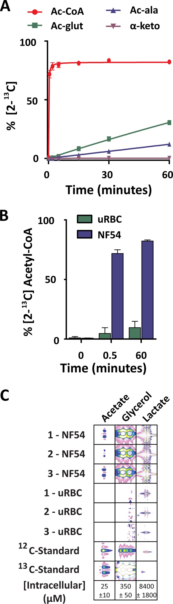 FIGURE 4.