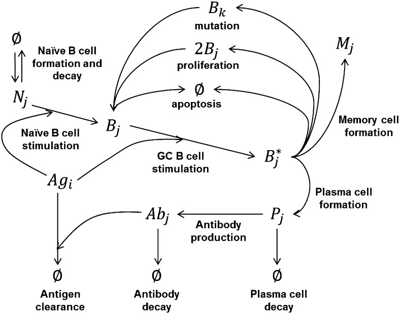 FIGURE 1.