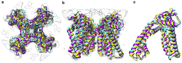 Figure 7