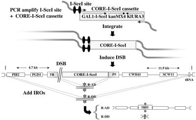 Fig. 1.