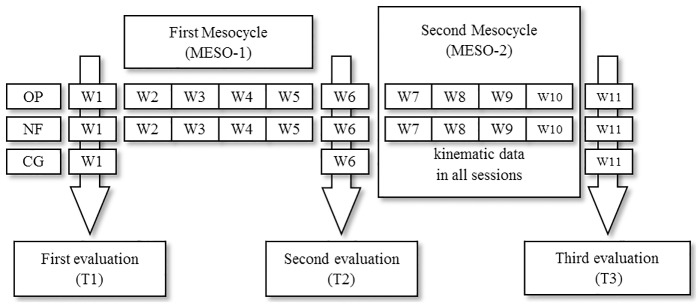 Fig 1