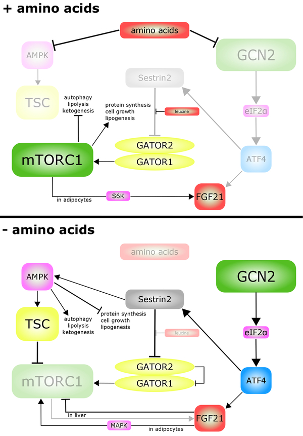 Figure 3: