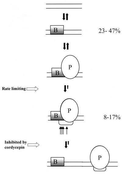 FIG. 8