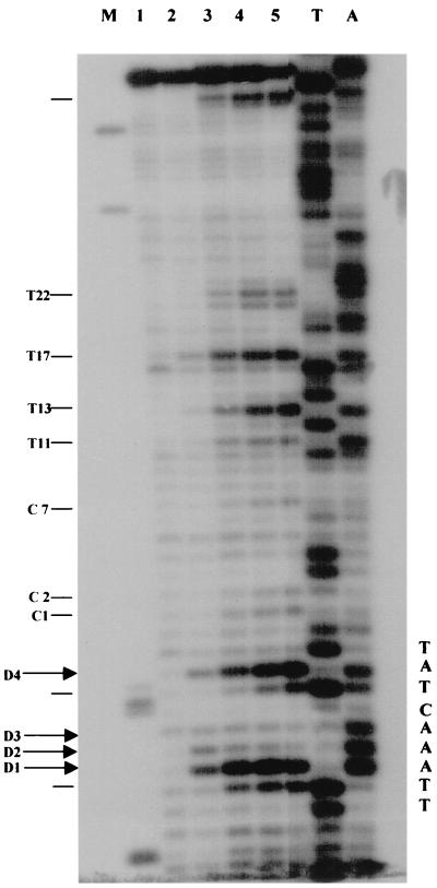 FIG. 7