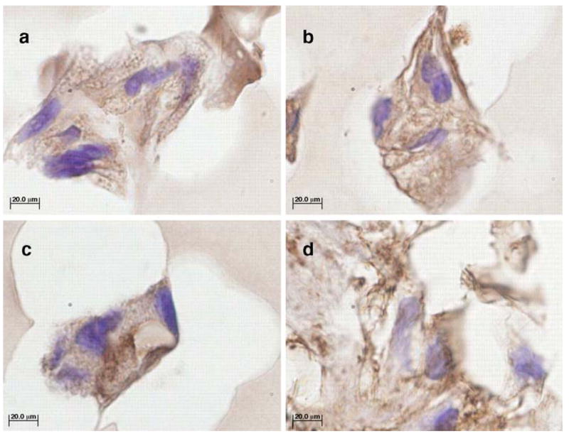 Fig. 5