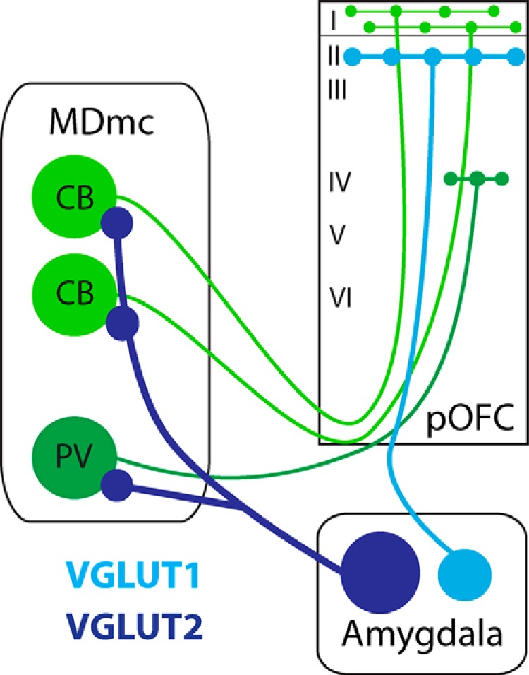 Figure 7.