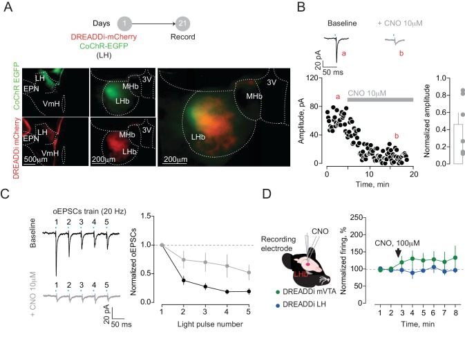 Figure 2—figure supplement 2.