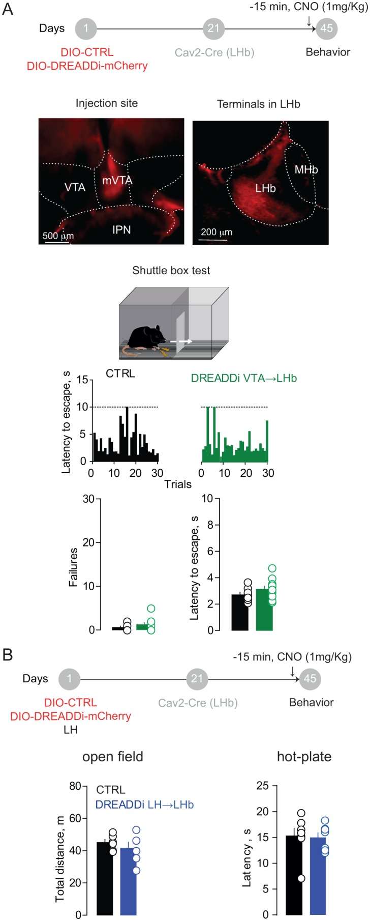 Figure 4—figure supplement 1.