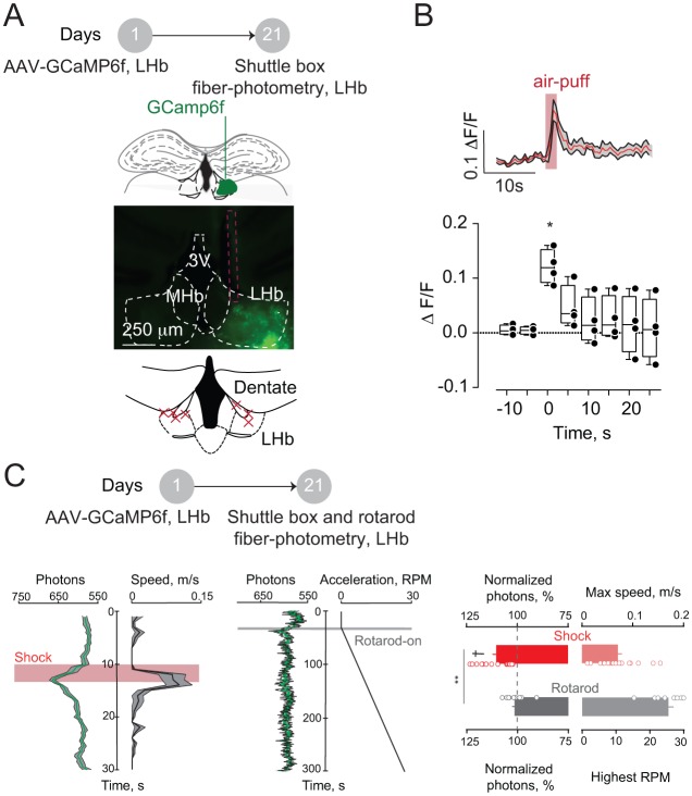 Figure 1—figure supplement 1.