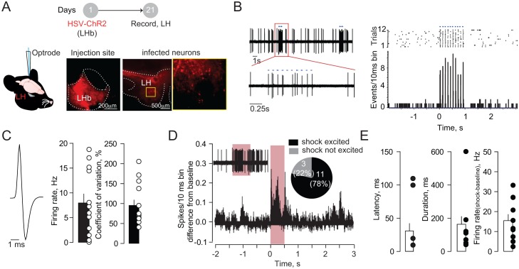 Figure 2—figure supplement 3.