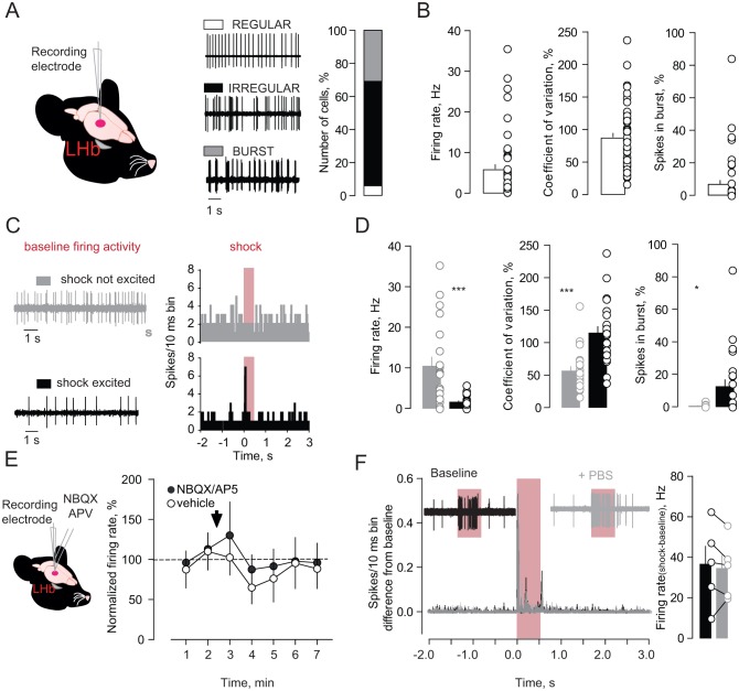 Figure 1—figure supplement 2.