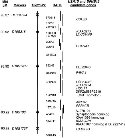 Figure  2 