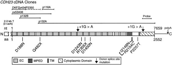 Figure  3 