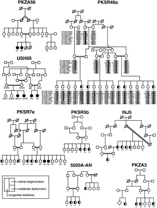 Figure  1 