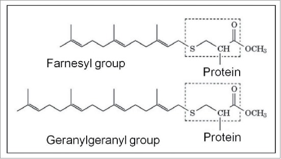 Figure 9.