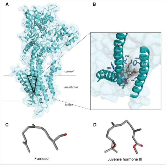 Figure 6.