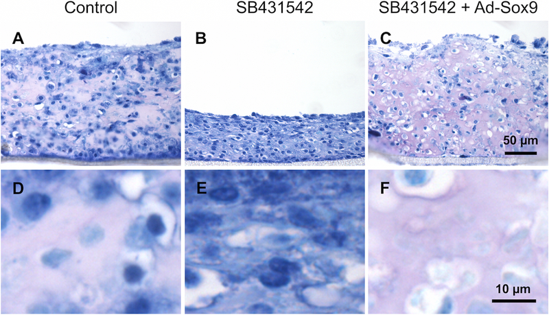 Figure 4: