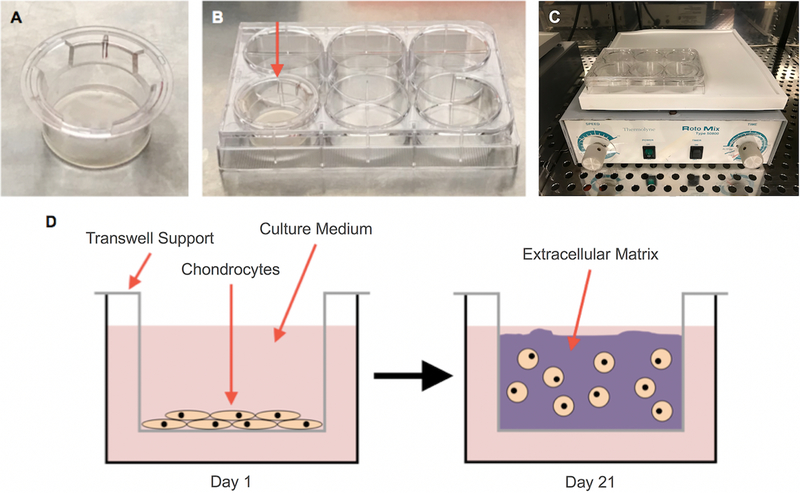 Figure 1: