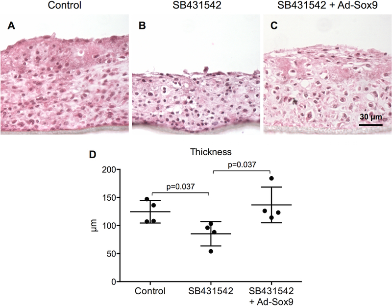 Figure 3: