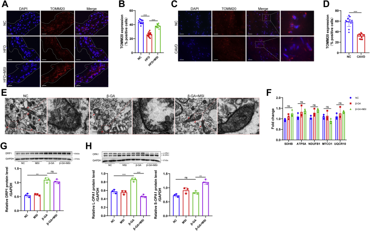 Figure 6