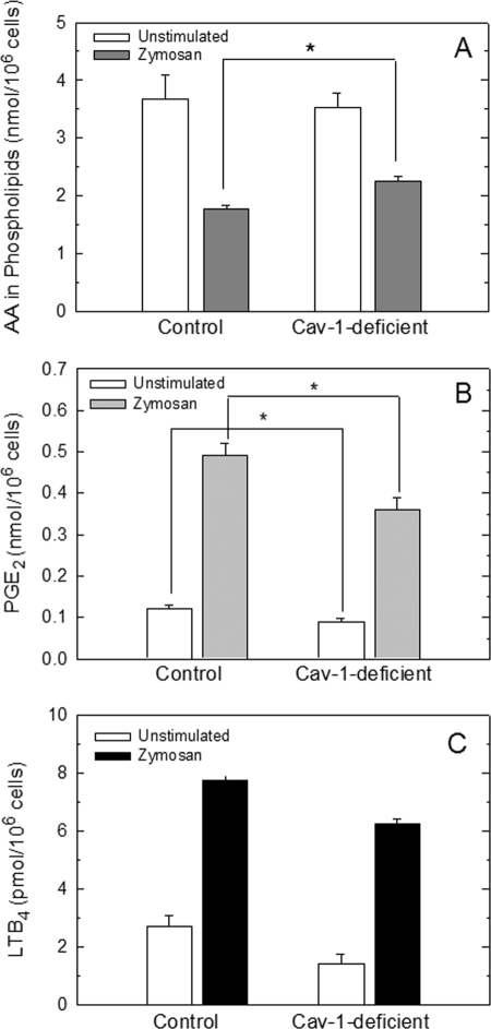 FIGURE 7.