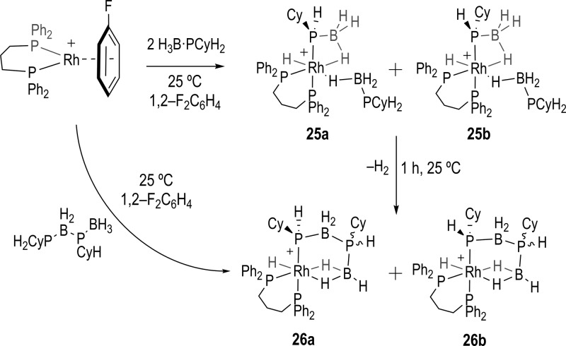 Scheme 8