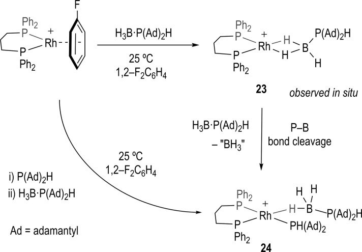 Scheme 7