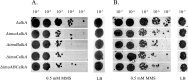 Fig 6